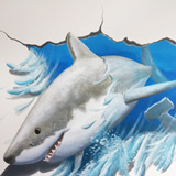 haaien muurschildering